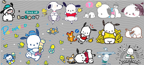 16oz Sanrio-K 674